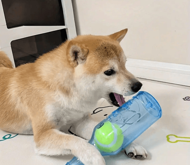 Jouet à macher en forme de bouteille
