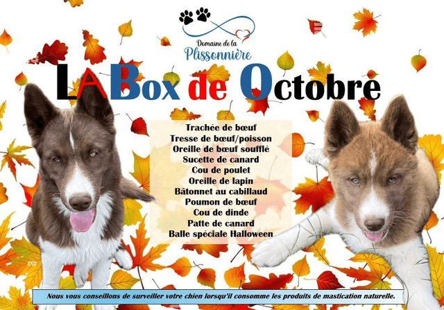A - La Box de Octobre