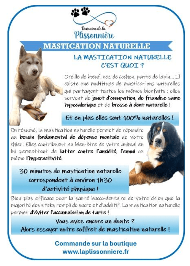 A - La Box de Octobre