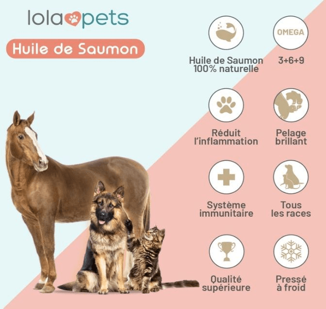 Huile de saumon de Norvège 100% Naturelle - 1L